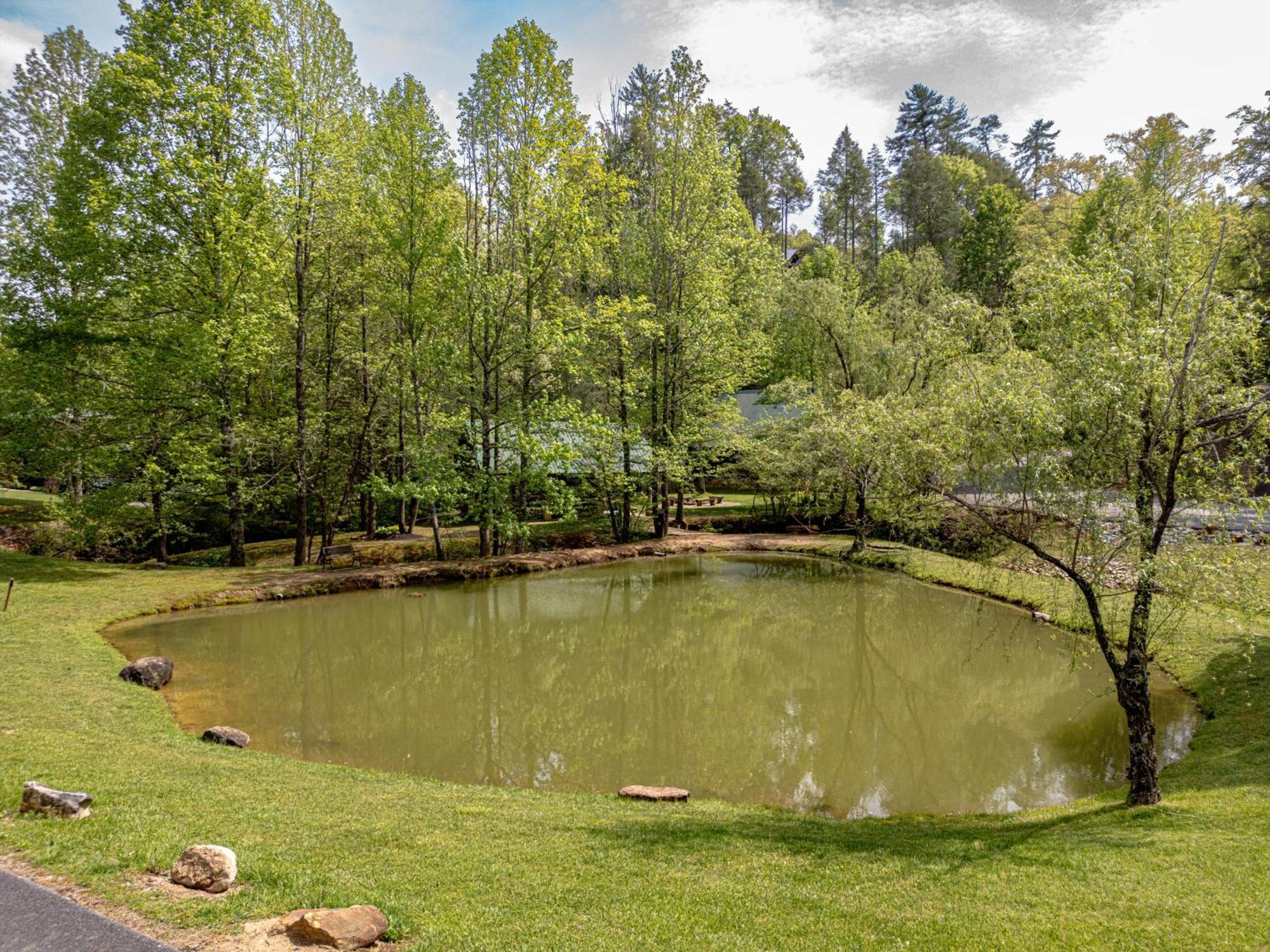 Love Me Tender Studio Cabin Sevierville Ruang foto